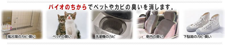 バイオの力でペットやカビの臭いを消します