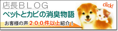 店長ブログ ペットとカビの消臭物語