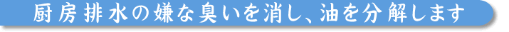 厨房排水の嫌なにおいを消し、油を分解します