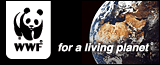 WWFバナー