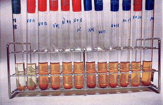 クックドミート分解テスト
